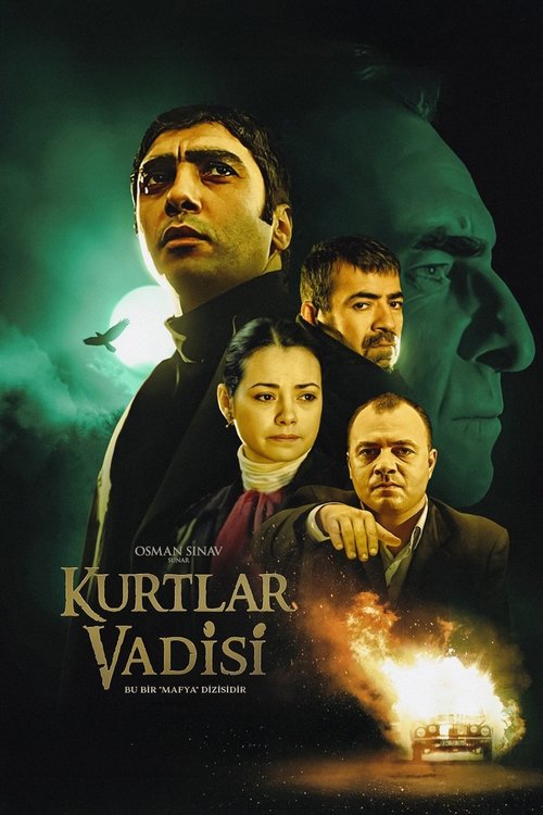 Kurtlar Vadisi posteri