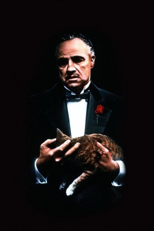 The Godfather posteri