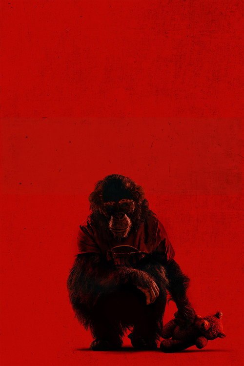 Primate posteri
