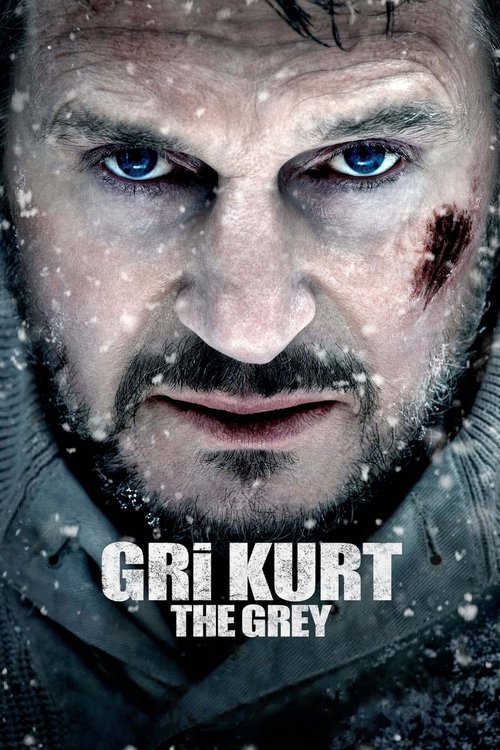 The Grey posteri