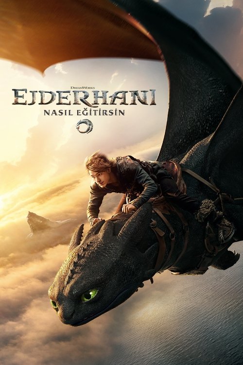 How to Train Your Dragon posteri