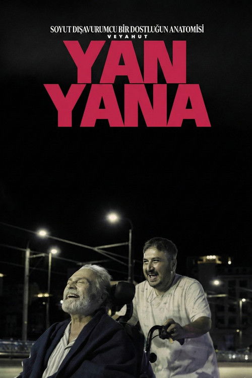 Soyut Dışavurumcu Bir Dostluğun Anatomisi Veyahut Yan Yana posteri